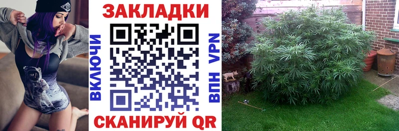 Купить наркотики цена Наволоки ГАШИШ  МАРИХУАНА  APVP  АМФ  Галлюциногенные грибы  Меф 