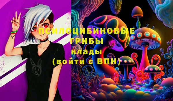 синтетический гашиш Алексин